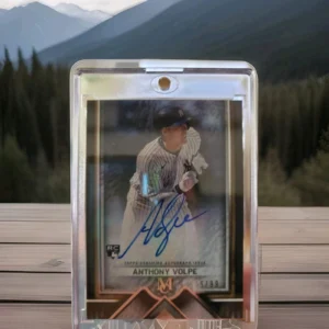 2023 Topps Museum Collection - Archival Autographs Anthony Volpe #AA-AV /99 (AU,